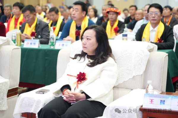 王晨.jpg